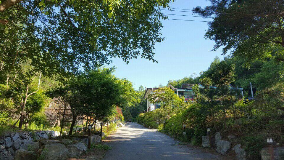 Pinearoma Pension Hongcheon Εξωτερικό φωτογραφία