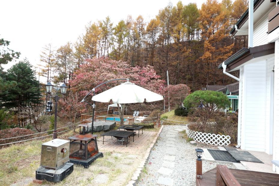 Pinearoma Pension Hongcheon Εξωτερικό φωτογραφία